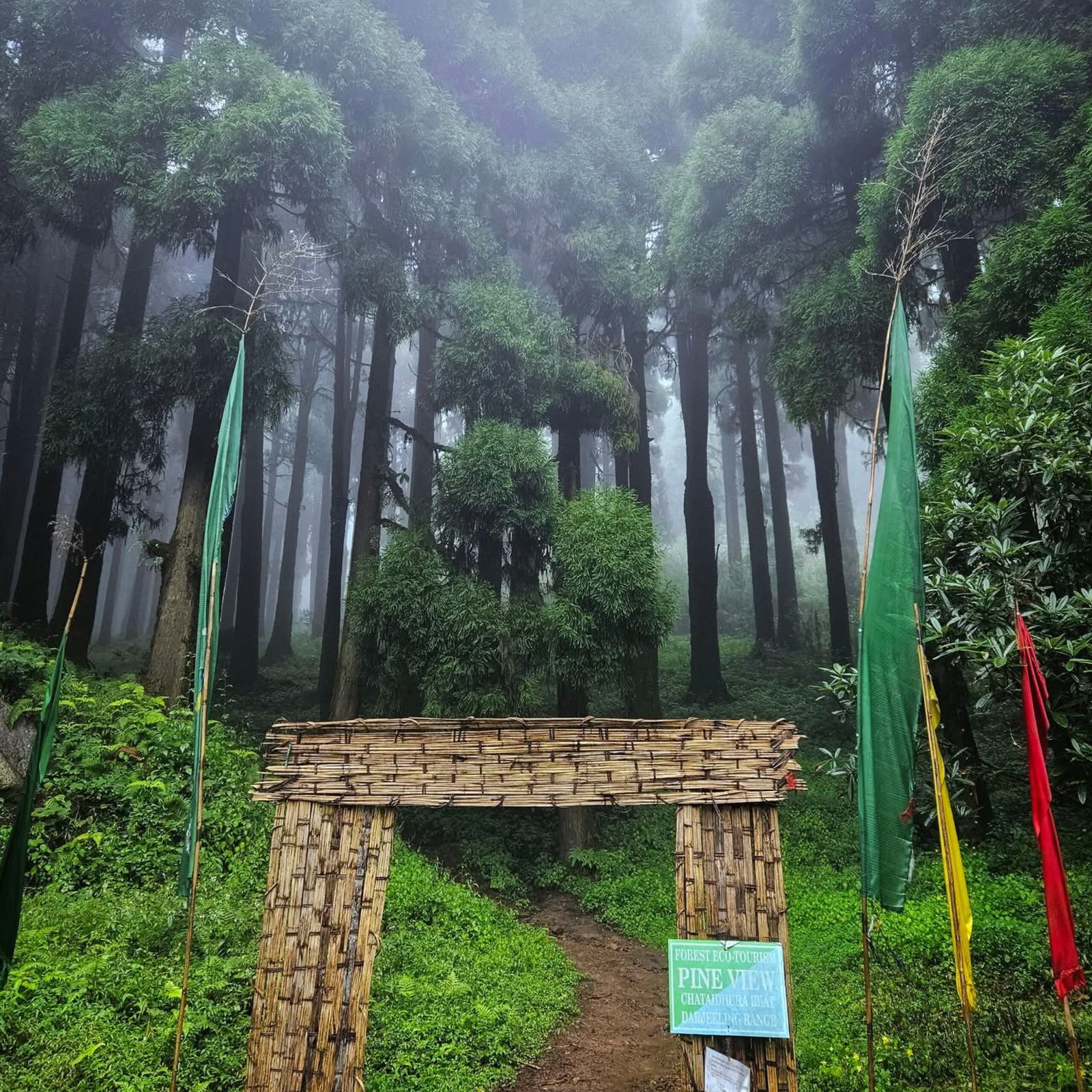 Hills to Plains: Darjeeling to Siliguri via Mirik Route - Tour Image 2