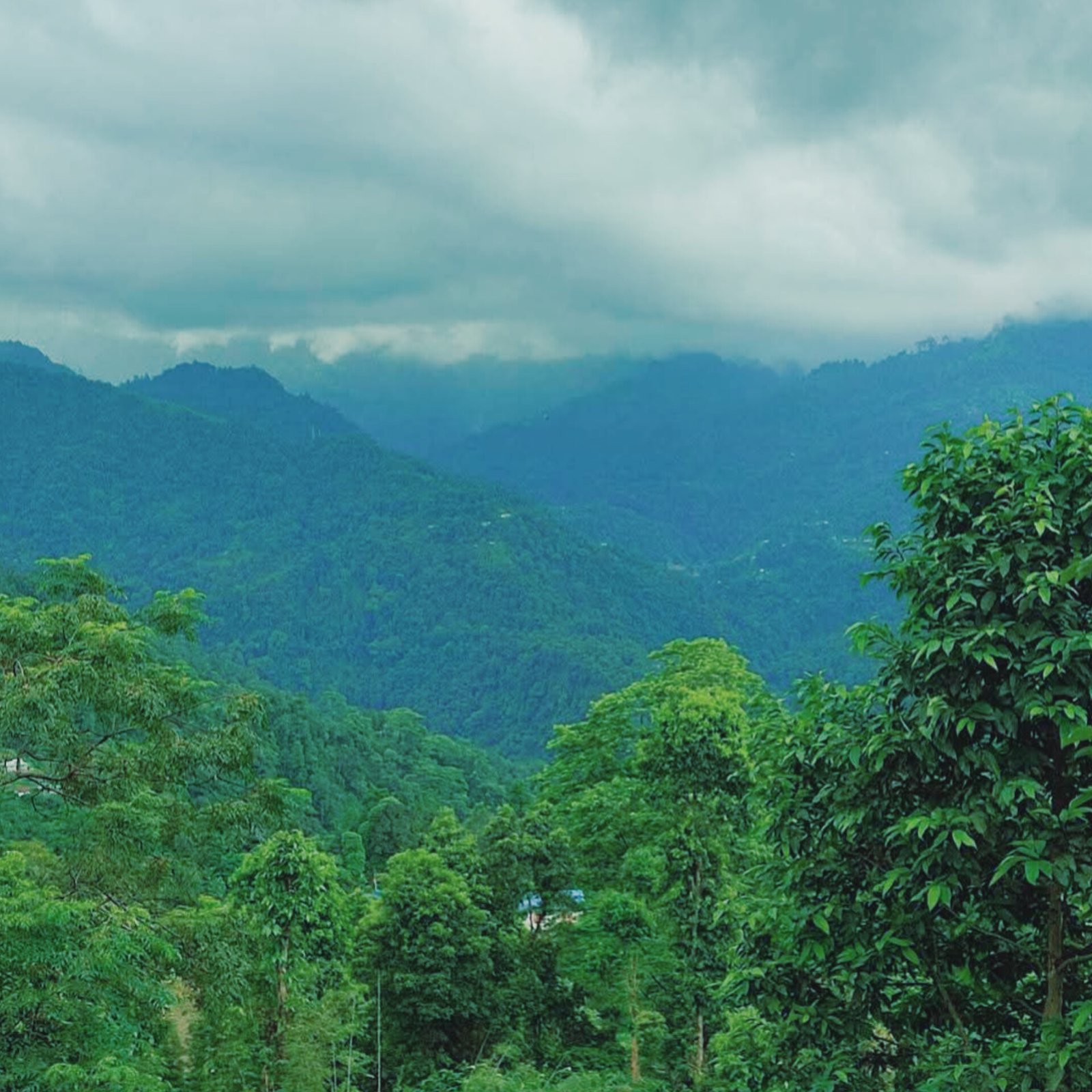 Rishyap Retreat – Where Mountains Whisper and Clouds Roam - Tour Image 2