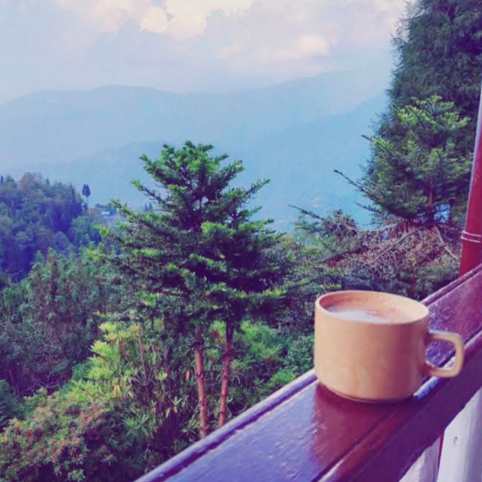 Rishyap Retreat – Where Mountains Whisper and Clouds Roam - Tour Image 4